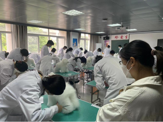 1653524738998018.png image.png