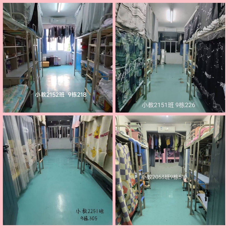 1705842305399686.jpg 教育系5.jpg